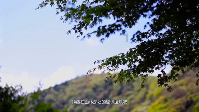 年轻人为什么开始摆烂了？什么才算是真正的摆烂呢？游戏画面